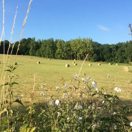 Le Figuier * Saint-Denis-lès-Rebais